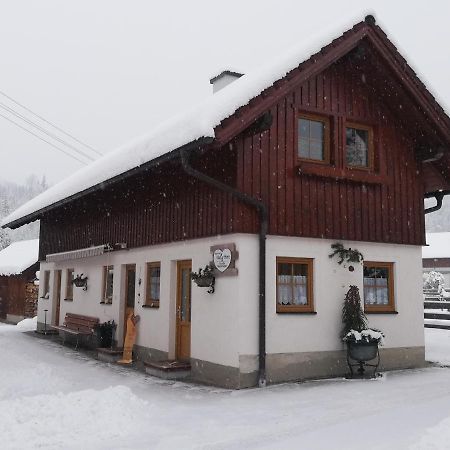 Apartment Natur Herz Гаус-ім-Енншталь Екстер'єр фото