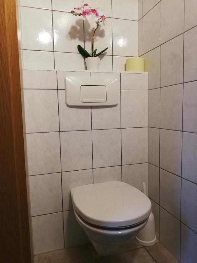 Apartment Natur Herz Гаус-ім-Енншталь Екстер'єр фото