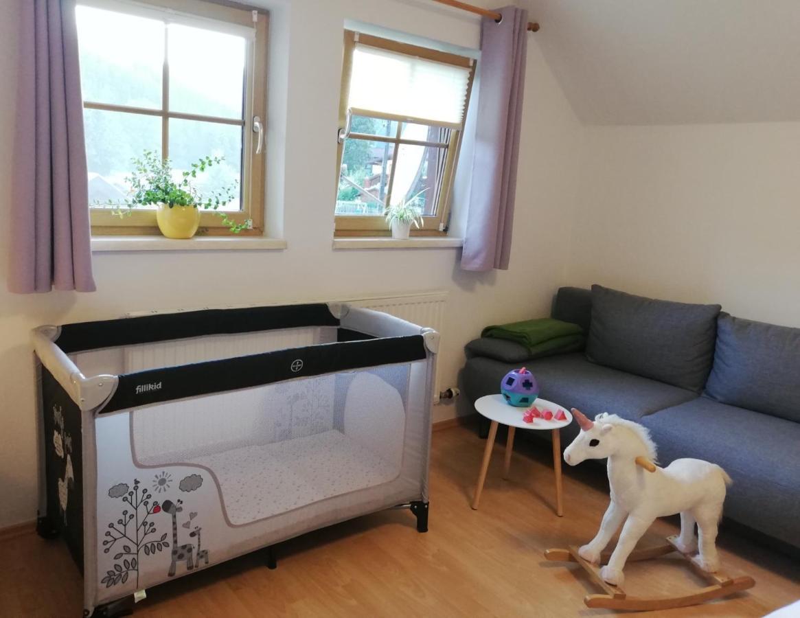 Apartment Natur Herz Гаус-ім-Енншталь Екстер'єр фото
